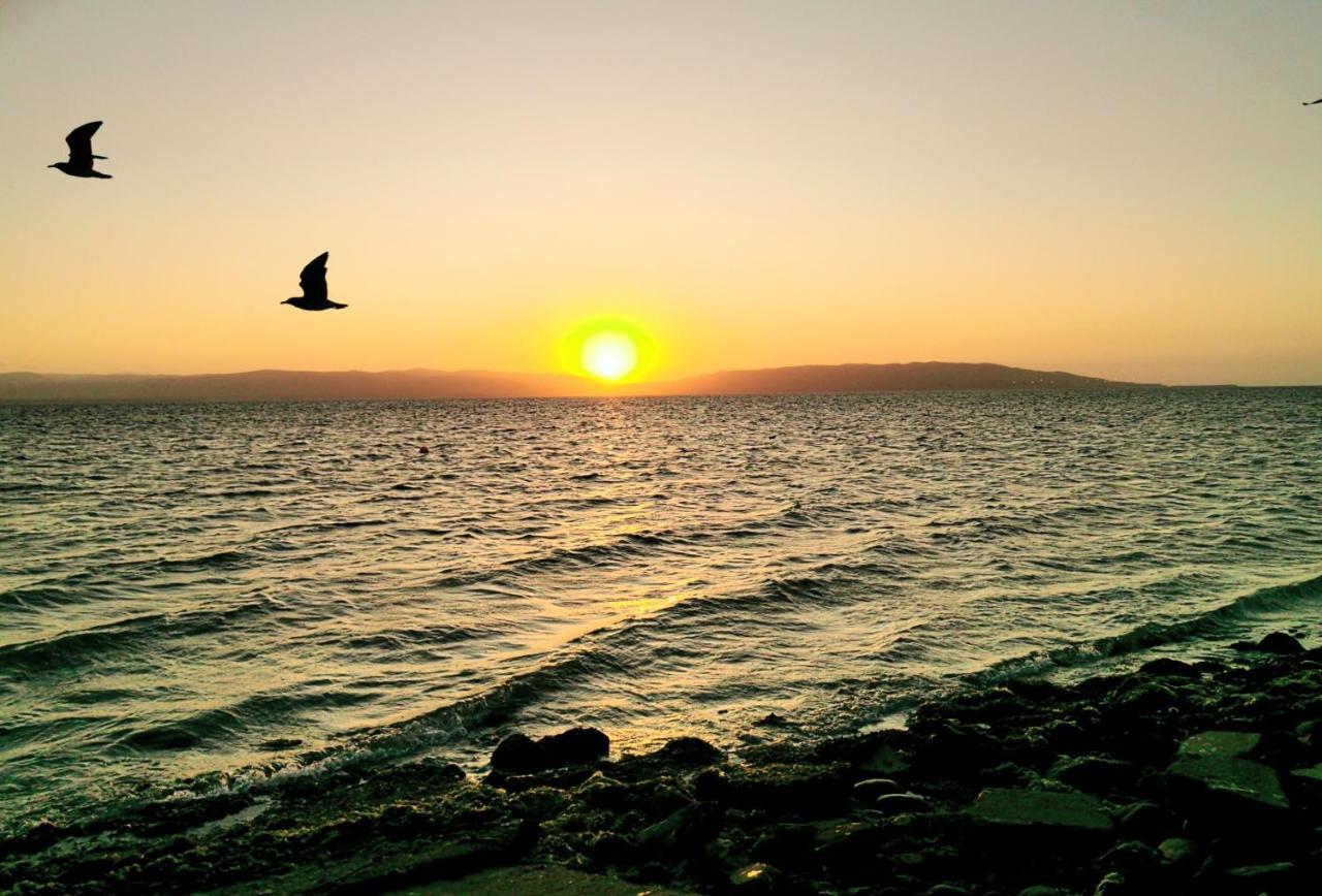 Aquamarine Paracas Beach Hostal Экстерьер фото